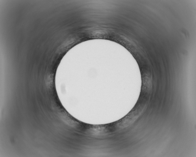 X0000110690278200907241110