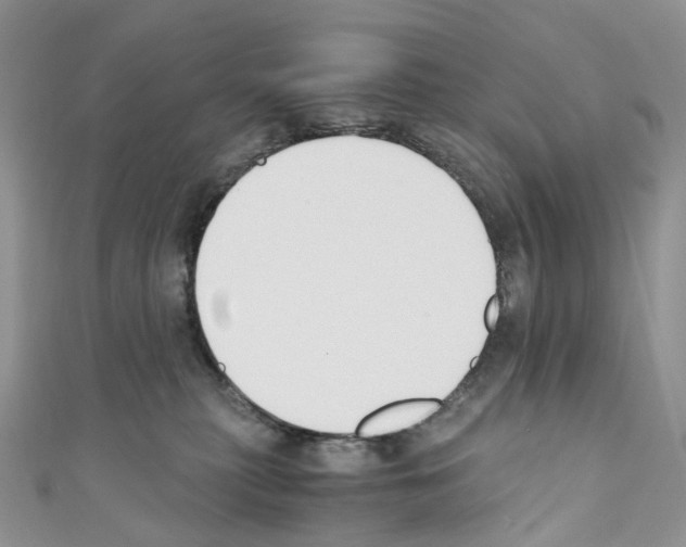 X0000110690279200907241110