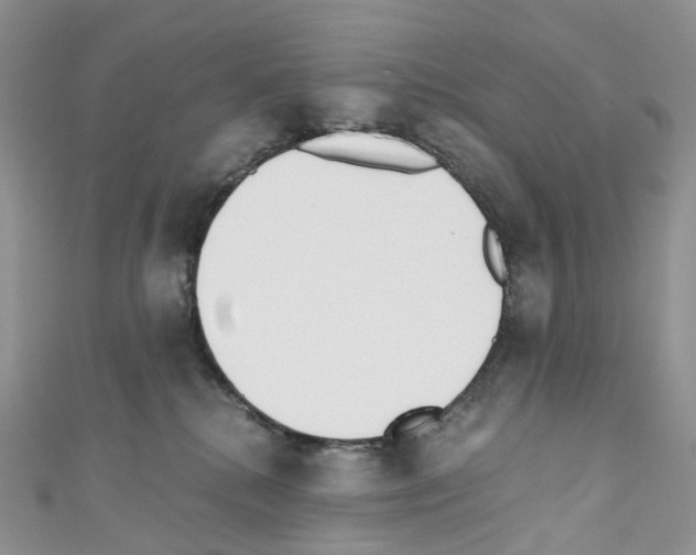 X0000110690280200907241110