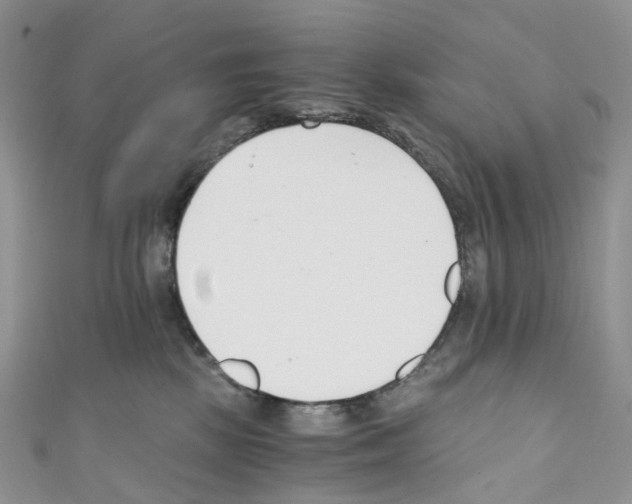 X0000110690281200907241110