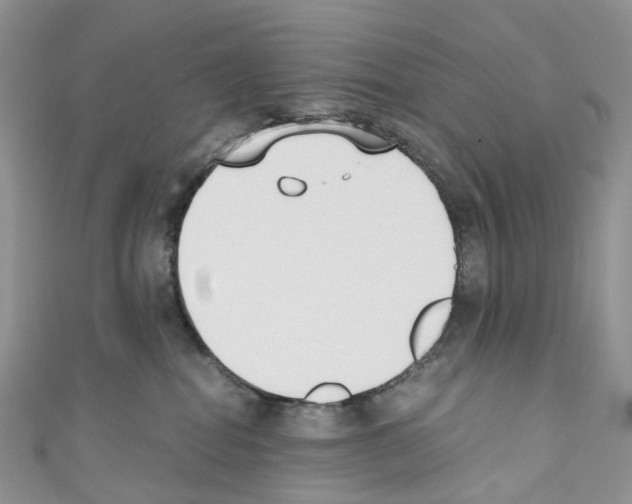 X0000110690282200907241110