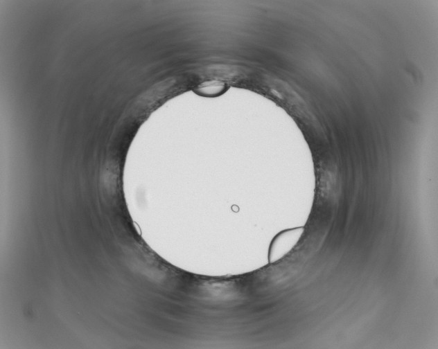 X0000110690283200907241110