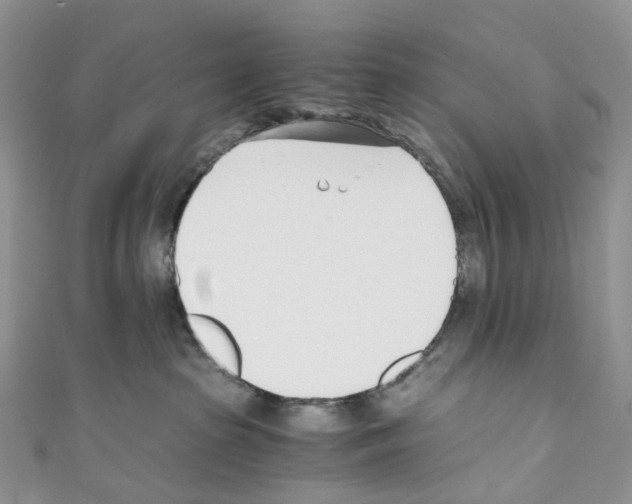 X0000110690285200907241110