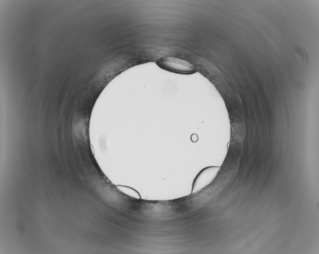 X0000110690286200907241110