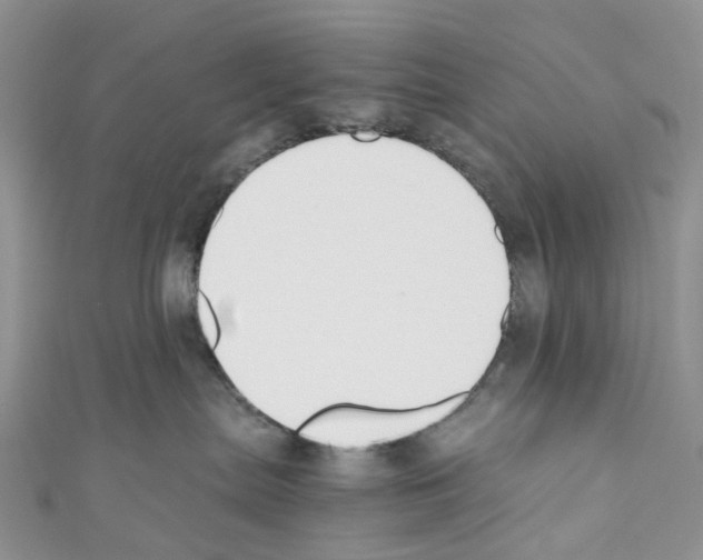 X0000110690287200907241110