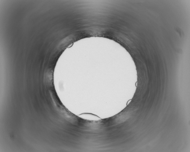 X0000110690288200907241110