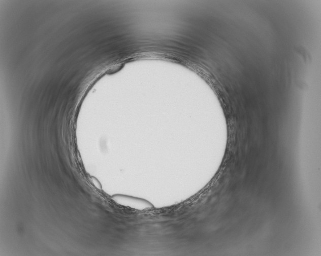 X0000110690289200907241110