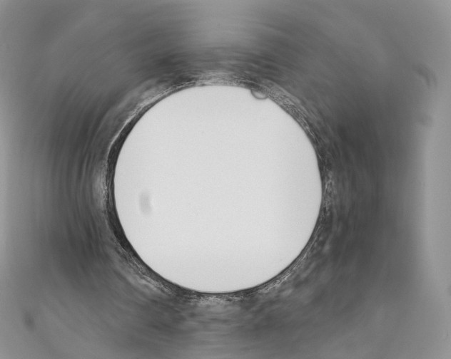 X0000110690290200907241110