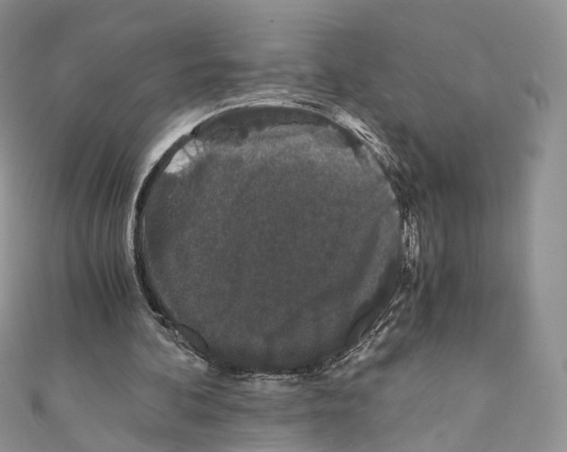 X0000110690292200907241110