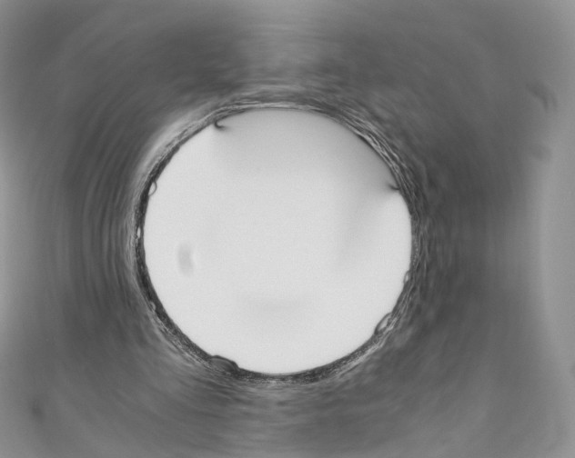 X0000110690293200907241110