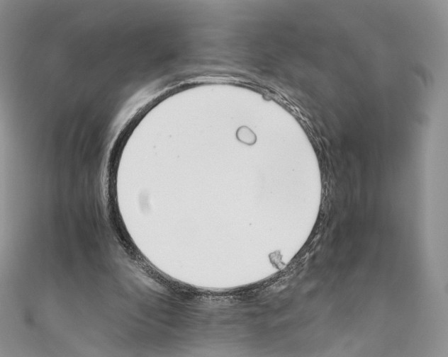 X0000110690296200907241110