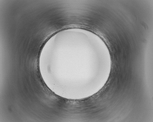 X0000110690297200907241110