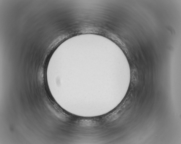 X0000110690298200907241110