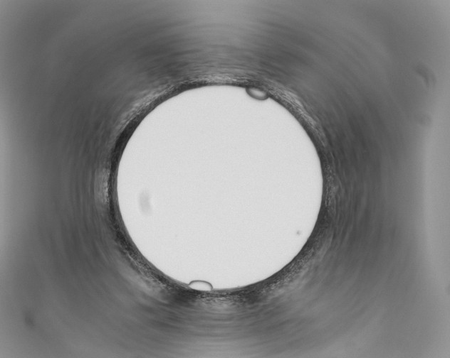 X0000110690299200907241110