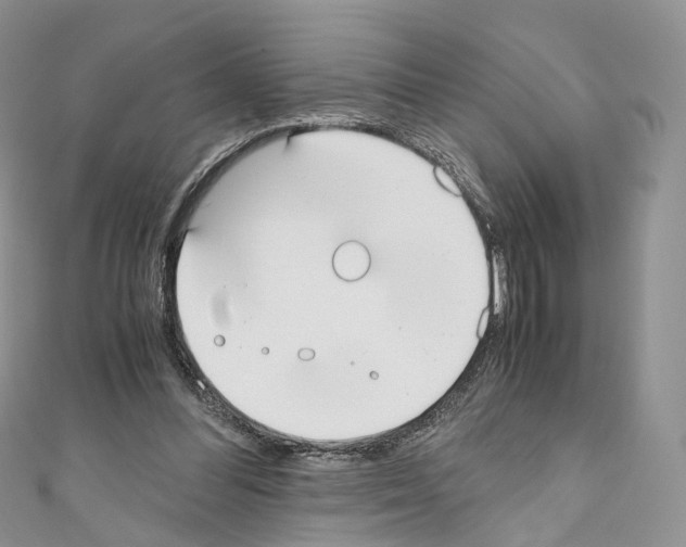 X0000110690300200907241110