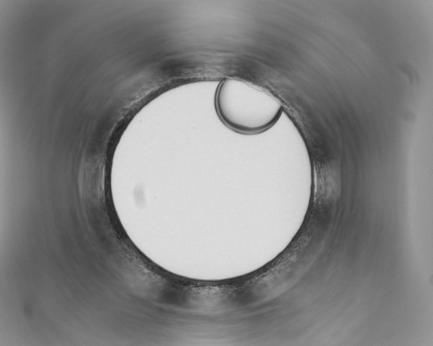 X0000110690301200907241110