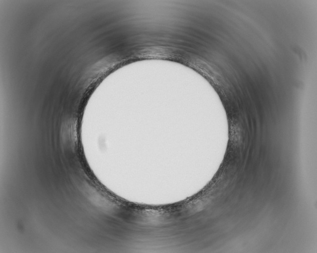 X0000110690302200907241110