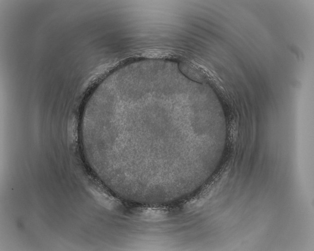 X0000110690303200907241110