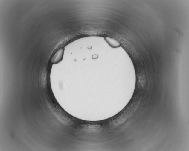 X0000110690304200907241110