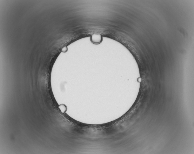 X0000110690305200907241110