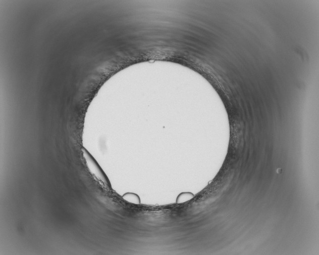 X0000110690307200907241110