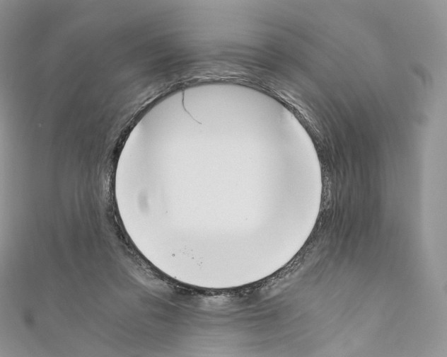 X0000110690309200907241110