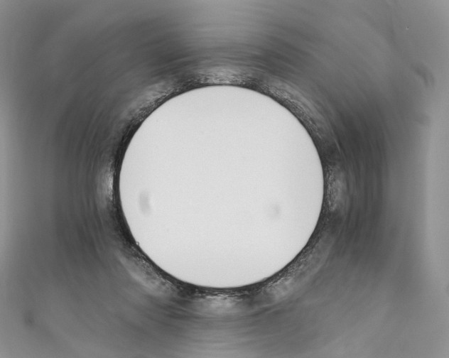 X0000110690310200907241110