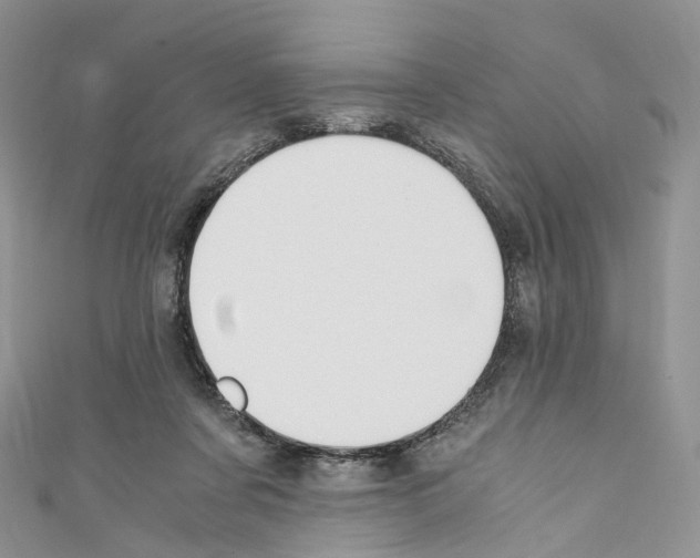 X0000110690311200907241110