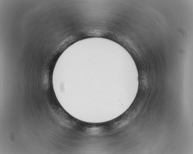 X0000110690312200907241110