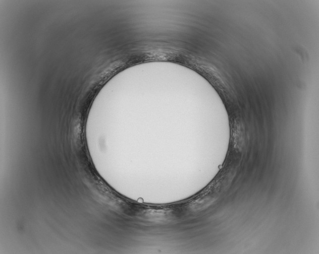 X0000110690314200907241110