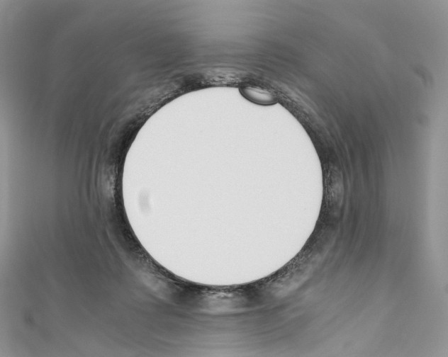 X0000110690315200907241110