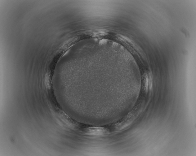 X0000110690316200907241110