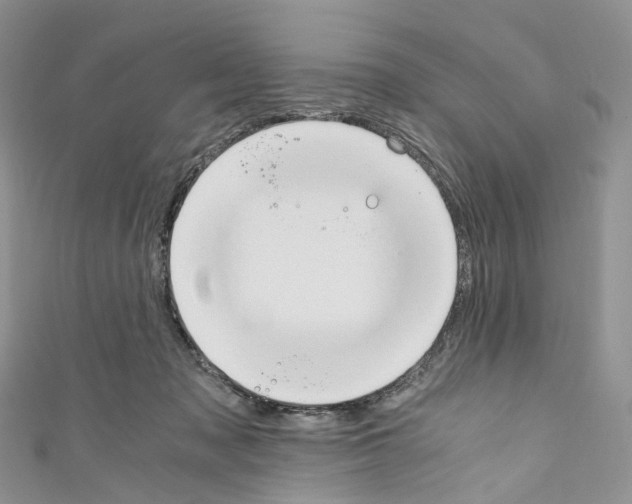 X0000110690317200907241110