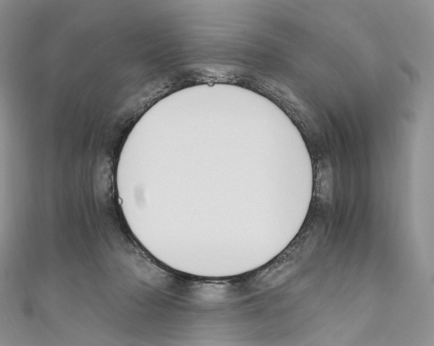 X0000110690318200907241110