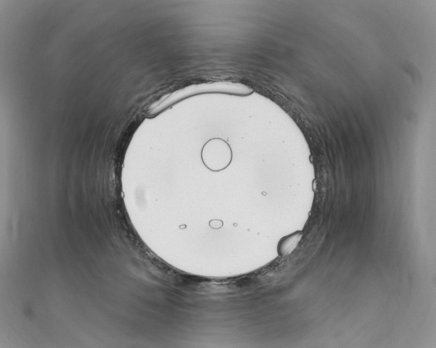 X0000110690320200907241109