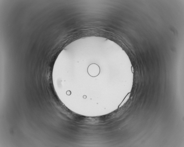 X0000110690328200907241109