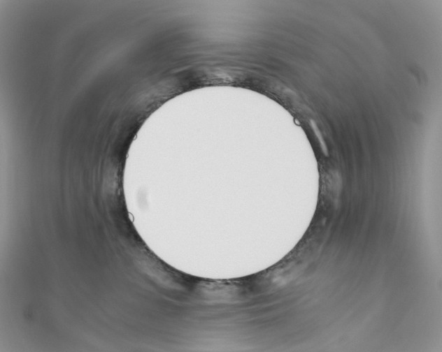 X0000110690331200907241109