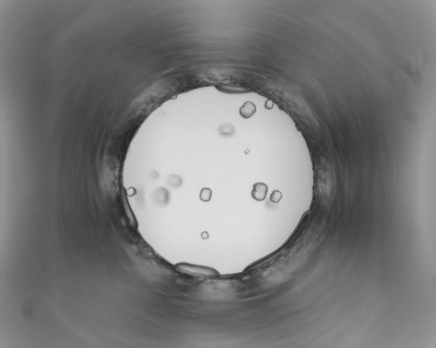 X0000110690332200907241109