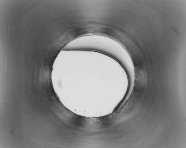 X0000110690333200907241109