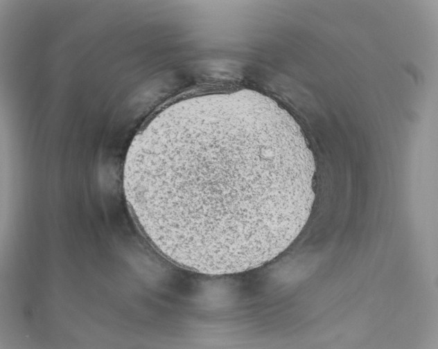 X0000110690336200907241109