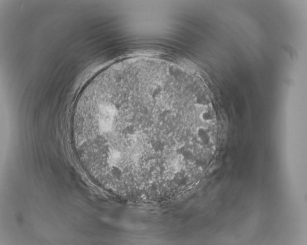 X0000110690337200907241108