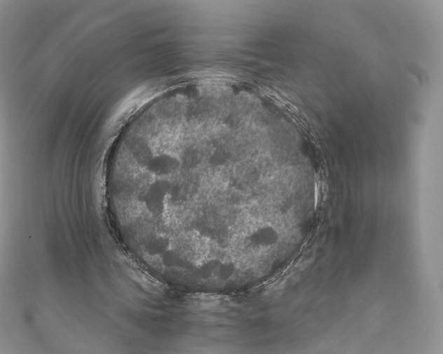 X0000110690339200907241108