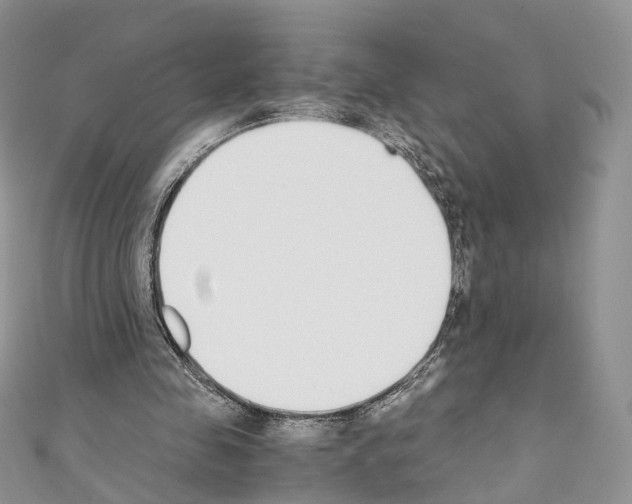 X0000110690341200907241109