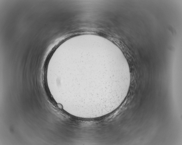 X0000110690342200907241109