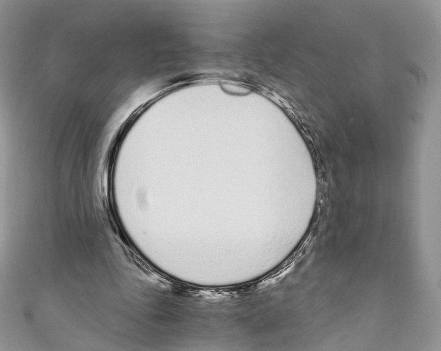 X0000110690343200907241109