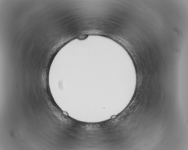 X0000110690345200907241109