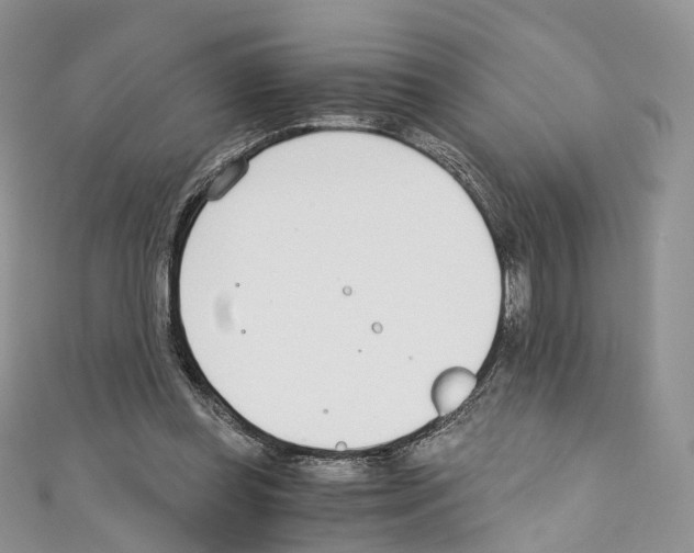 X0000110690349200907241109