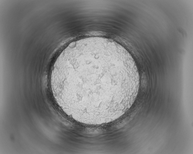 X0000110690351200907241109