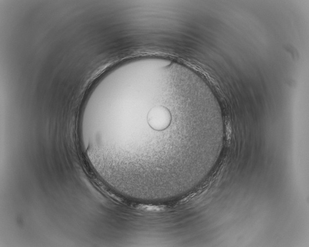 X0000110690352200907241109