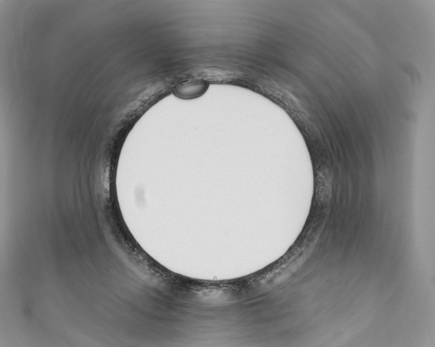 X0000110690358200907241109